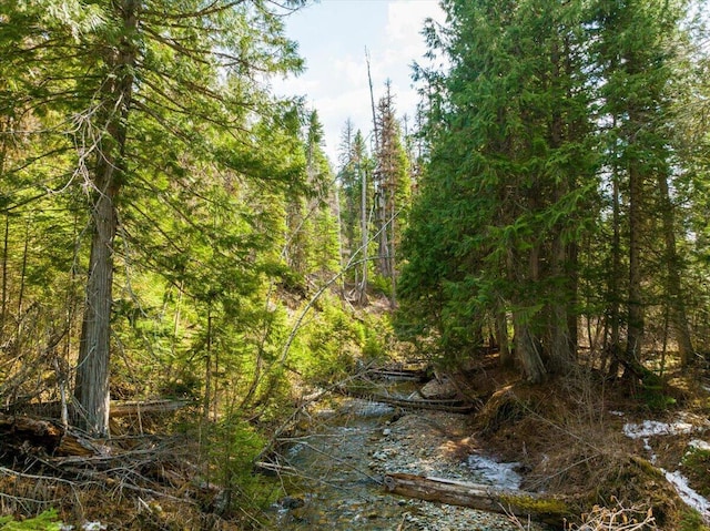 1770 Piper Creek Rd, Bigfork, MT 59911