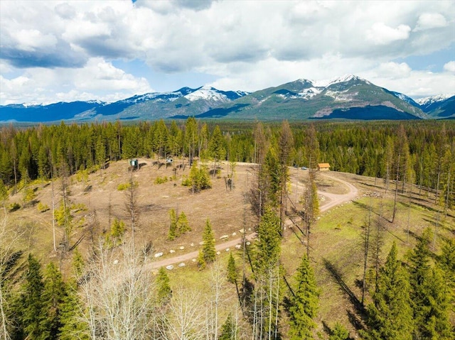 1770 Piper Creek Rd, Bigfork, MT 59911