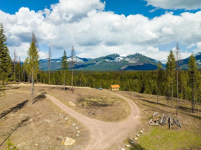1770 Piper Creek Rd, Bigfork, MT 59911