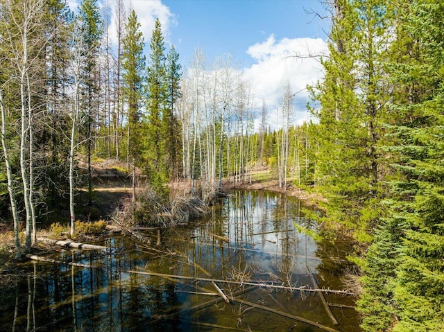 1770 Piper Creek Rd, Bigfork, MT 59911