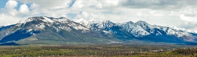 1770 Piper Creek Rd, Bigfork, MT 59911