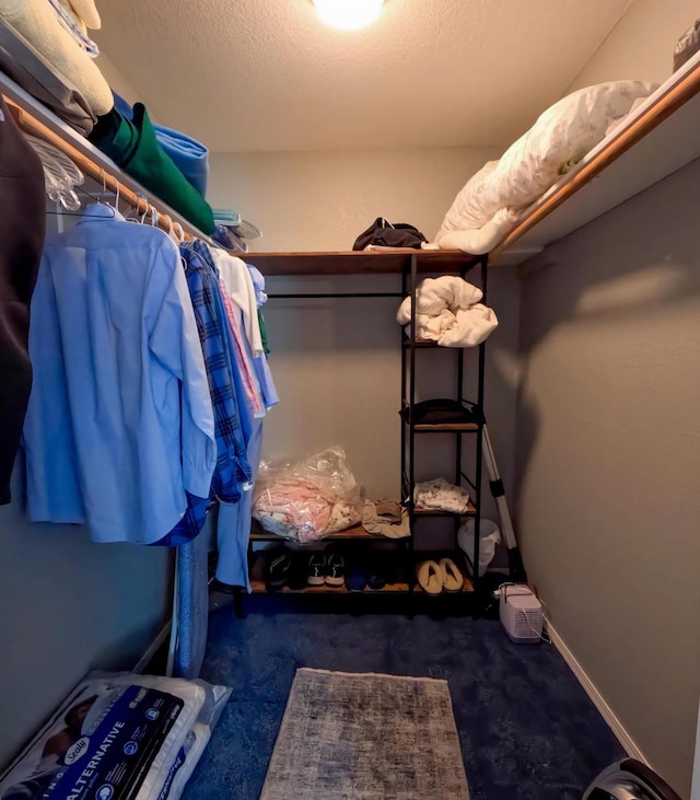35881 Warbler Dr, Ronan, MT 59864 - view of walk in closet