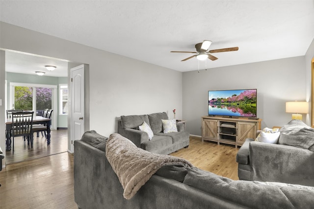 501 23rd Ave NE, Great Falls, MT 59404 - living room with ceiling fan, wood finished floors, and baseboards