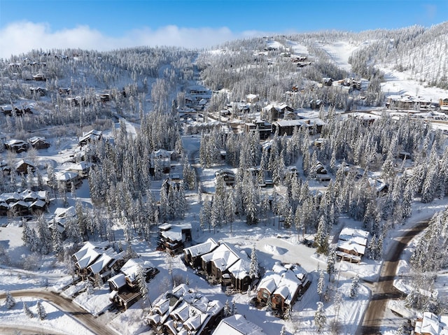 view of snowy aerial view