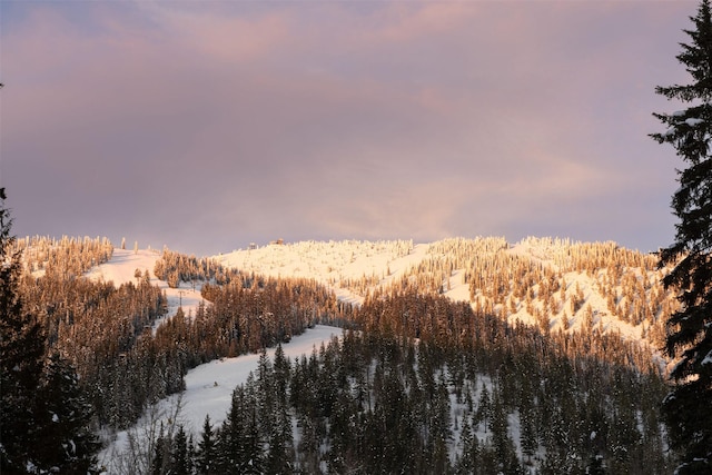 snowy landscape featuring a forest view and a mountain view