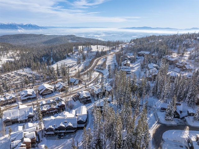 snowy aerial view featuring a mountain view and a residential view