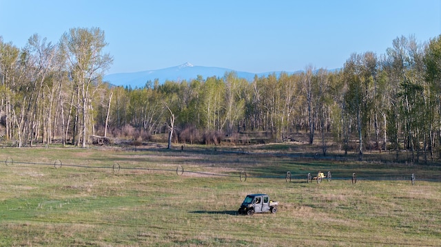 3690 Big Flat Rd, Missoula, MT 59804 - view of yard with a mountain view and a forest view