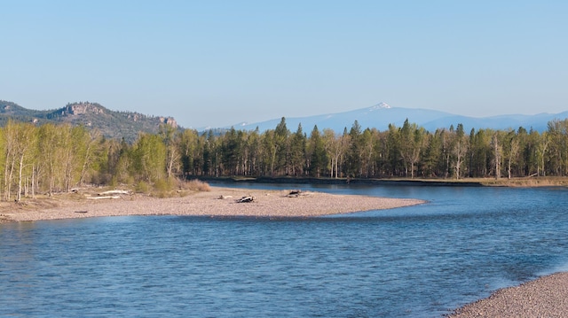 3690 Big Flat Rd, Missoula, MT 59804 - water view with a forest and a mountain backdrop