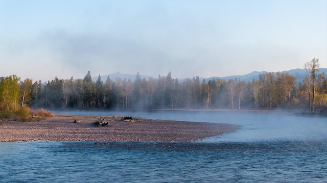 3690 Big Flat Rd, Missoula, MT 59804 - water view with a forest