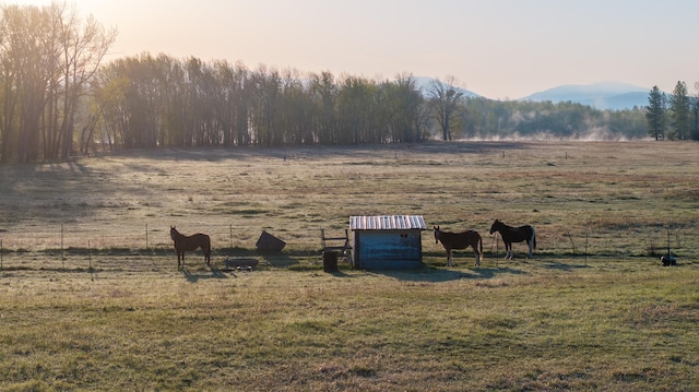 3690 Big Flat Rd, Missoula, MT 59804 - view of yard with a rural view and a mountain view