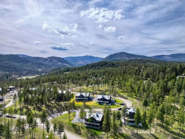 111 Blacktail Loop, Lakeside, MT 59922 - bird's eye view of a heavily wooded area