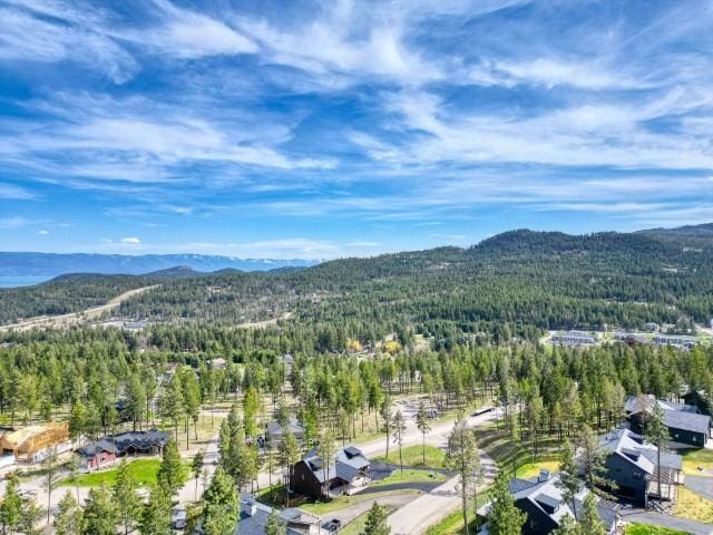 111 Blacktail Loop, Lakeside, MT 59922 - aerial view of property and surrounding area featuring a forest and mountains