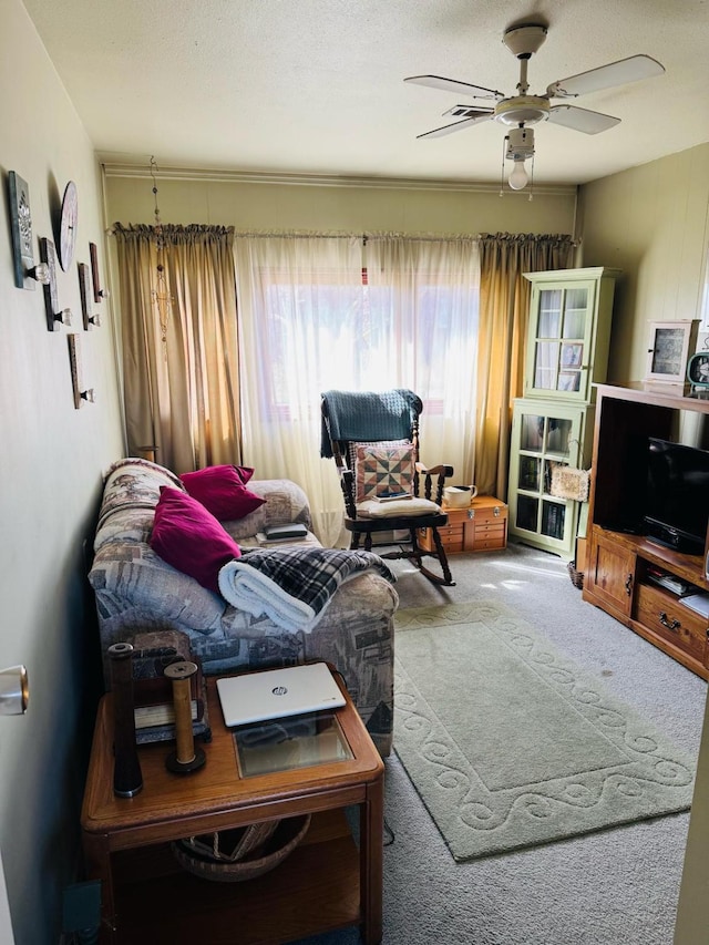 901 Birch Ave, Shelby, MT 59474 - living room with ceiling fan and carpet