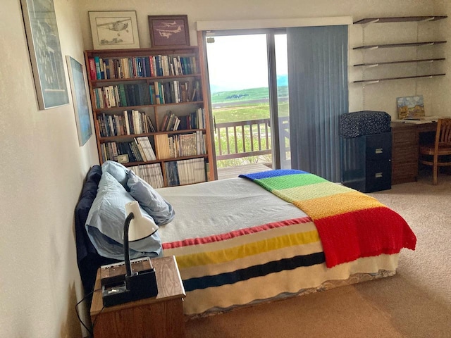 42984 Flathead View Dr, Polson, MT 59860 - bedroom featuring carpet flooring