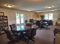 1200 32nd St S Unit 6, Great Falls, MT 59405 - dining room with plenty of natural light and carpet flooring