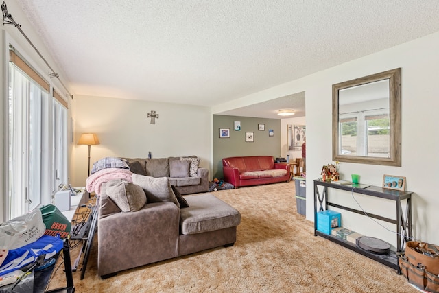 1200 32nd St S Unit 6, Great Falls, MT 59405 - carpeted living room with healthy amount of natural light and a textured ceiling