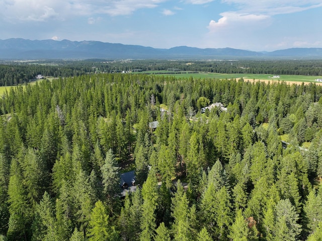 mountain view with a forest