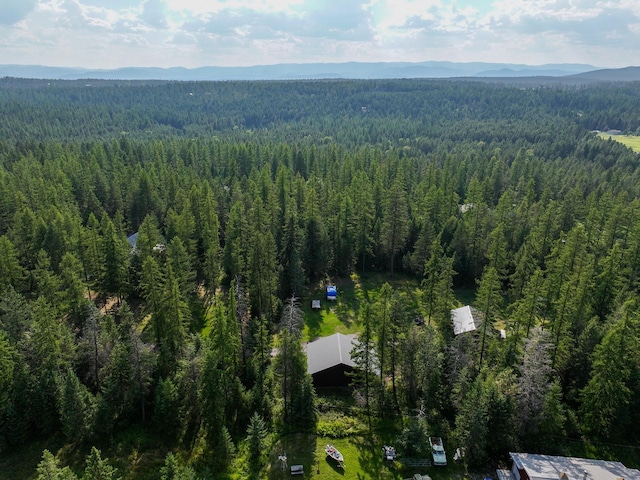 bird's eye view of a forest and mountains