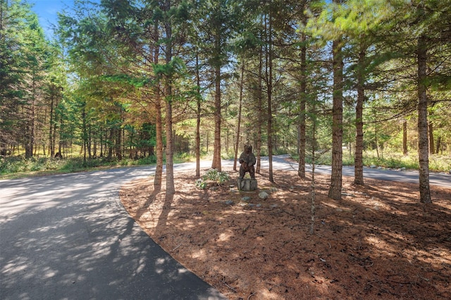 view of home's community featuring driveway and a forest view