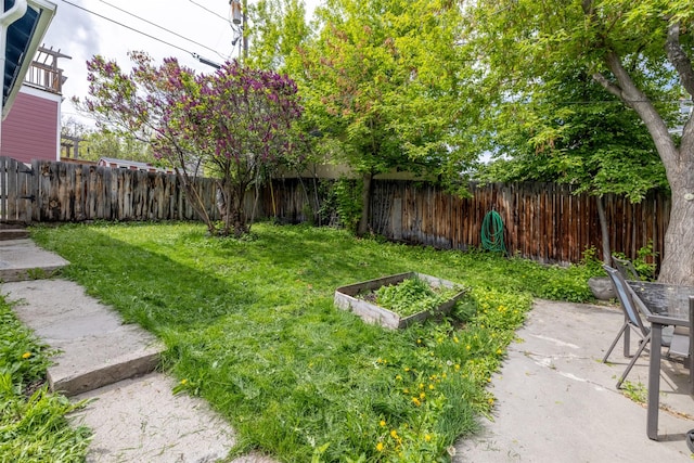 view of yard with a patio area