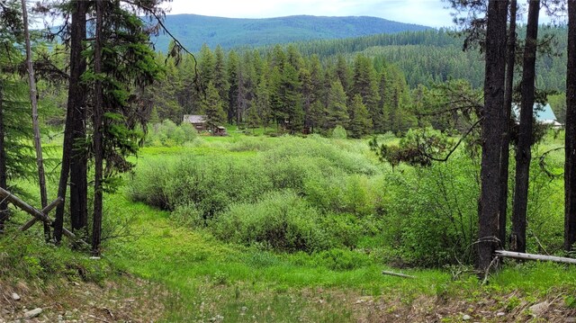 NHN N Fork Yaak Rd, Yaak, MT 59935