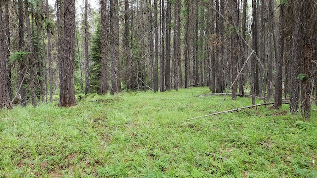 NHN N Fork Yaak Rd, Yaak, MT 59935