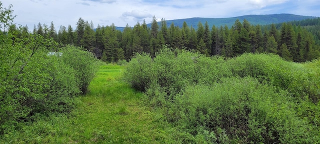 NHN N Fork Yaak Rd, Yaak, MT 59935