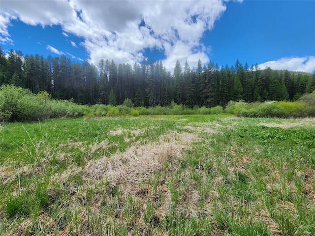 NHN N Fork Yaak Rd, Yaak, MT 59935