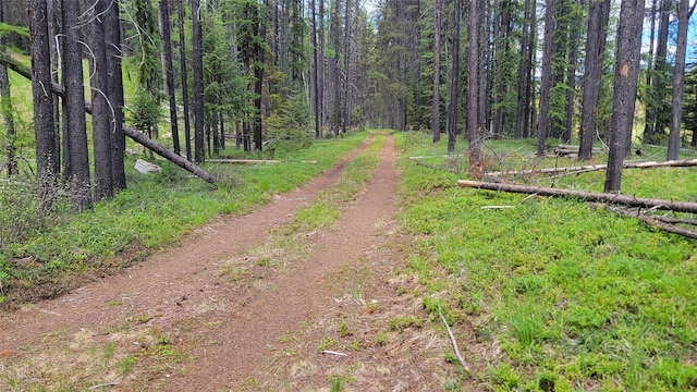 NHN N Fork Yaak Rd, Yaak, MT 59935