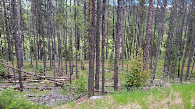 NHN N Fork Yaak Rd, Yaak, MT 59935