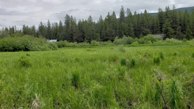 NHN N Fork Yaak Rd, Yaak, MT 59935
