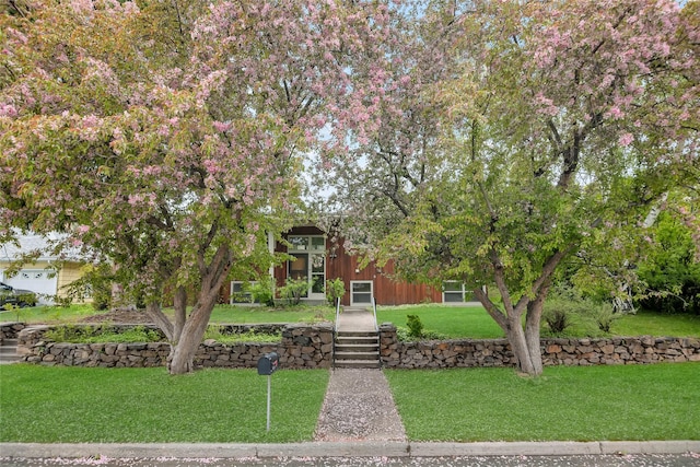 obstructed view of property with a front yard