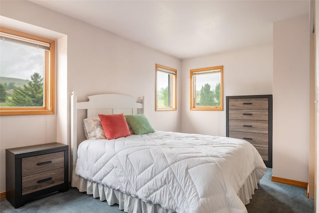 5190 Goodan Ln, Missoula, MT 59808 - bedroom with dark colored carpet and baseboards