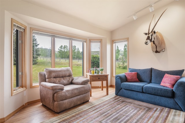 5190 Goodan Ln, Missoula, MT 59808 - living room with track lighting, baseboards, light wood-style floors, and vaulted ceiling