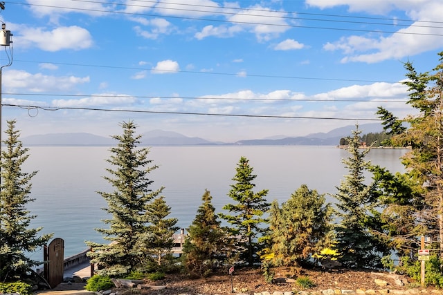 15222 Mt Highway 35, Bigfork, MT 59911 - water view featuring mountains