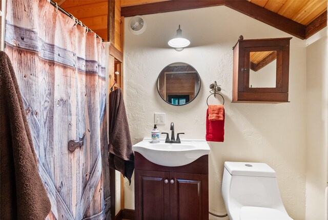 15222 Mt Highway 35, Bigfork, MT 59911 - bathroom featuring toilet, vanity, a textured wall, and vaulted ceiling