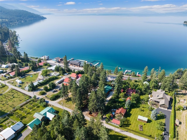 15222 Mt Highway 35, Bigfork, MT 59911 - bird's eye view of a nearby body of water