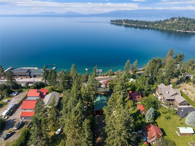 15222 Mt Highway 35, Bigfork, MT 59911 - aerial view of property's location with a water and mountain view