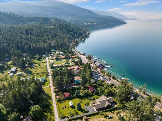 15222 Mt Highway 35, Bigfork, MT 59911 - aerial view of property and surrounding area featuring a water and mountain view and a forest