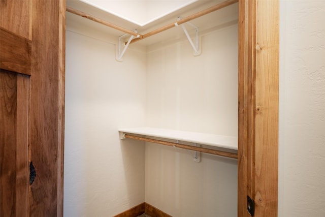 view of closet