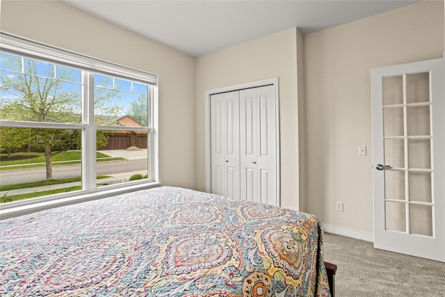 2719 Carnoustie Way, Missoula, MT 59808 - carpeted bedroom with baseboards and a closet