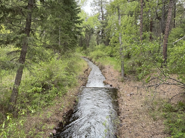 2041 Petty Creek Rd, Alberton, MT 59820 - view of road featuring a forest view
