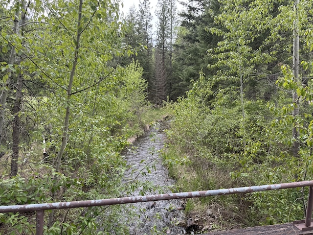 2041 Petty Creek Rd, Alberton, MT 59820 - view of woods
