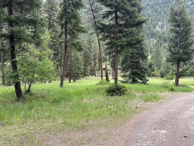 2041 Petty Creek Rd, Alberton, MT 59820 - view of wooded area
