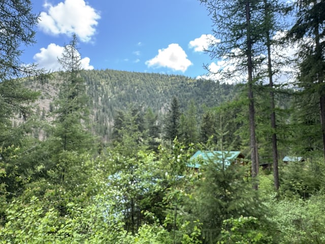 2041 Petty Creek Rd, Alberton, MT 59820 - view of mountain backdrop with a forest