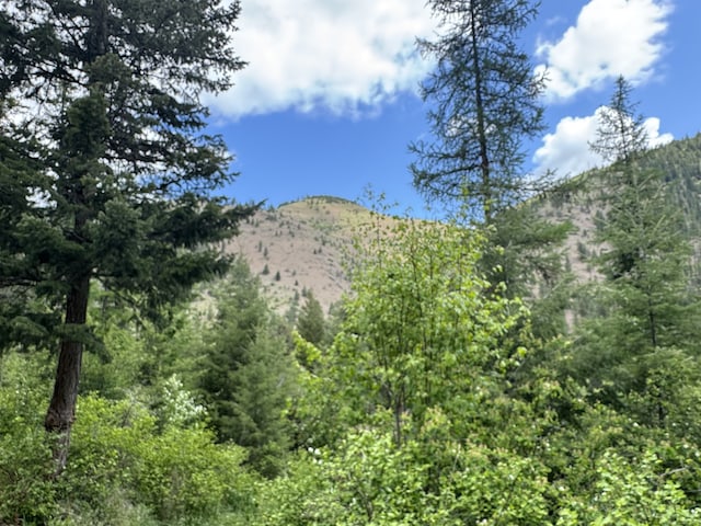 2041 Petty Creek Rd, Alberton, MT 59820 - view of mountain background featuring a heavily wooded area