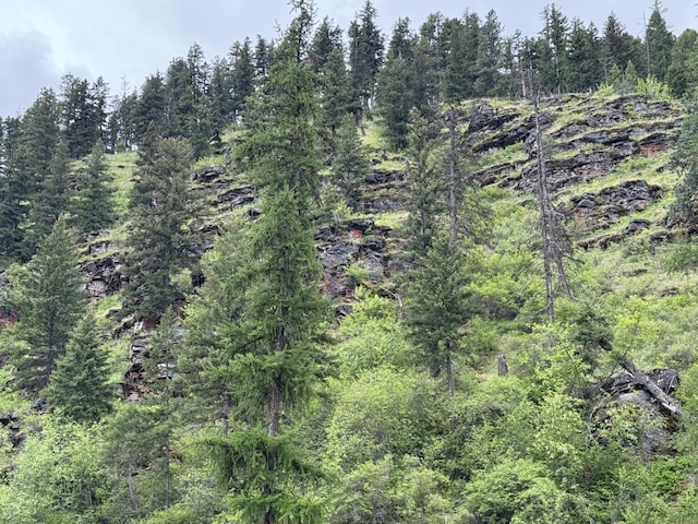 2041 Petty Creek Rd, Alberton, MT 59820 - view of woods
