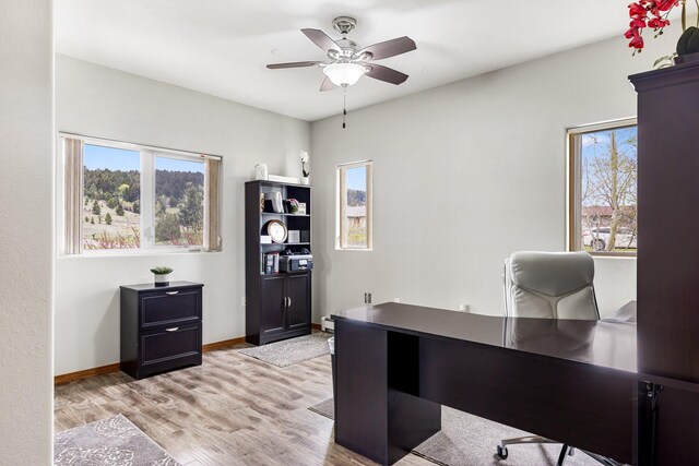 207 Cyprus Dr, Butte, MT 59701 - office featuring plenty of natural light, ceiling fan, light wood-style floors, and baseboards