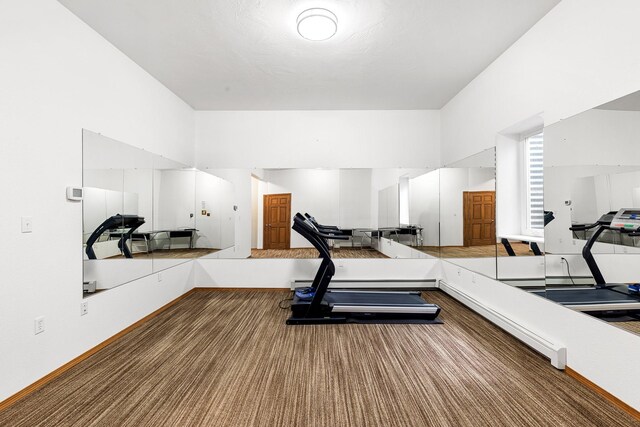 207 Cyprus Dr, Butte, MT 59701 - exercise area with carpet flooring