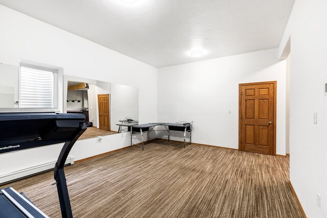 207 Cyprus Dr, Butte, MT 59701 - exercise room with carpet floors